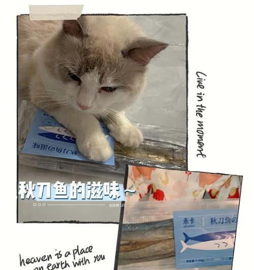 如何给宠物猫喂秋刀鱼（营养均衡的秋刀鱼喂食方法）