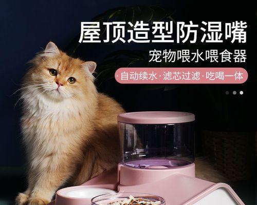 选择合适的药物治疗去猫症状（以宠物为主）