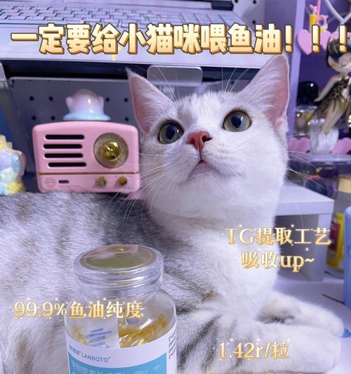 选择合适的药物治疗去猫症状（以宠物为主）