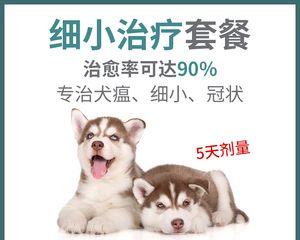 宠物犬瘟单抗治疗的全面介绍（探究犬瘟单抗的疗效及使用方法）