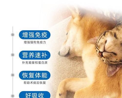 宠物犬瘟单抗治疗的全面介绍（探究犬瘟单抗的疗效及使用方法）