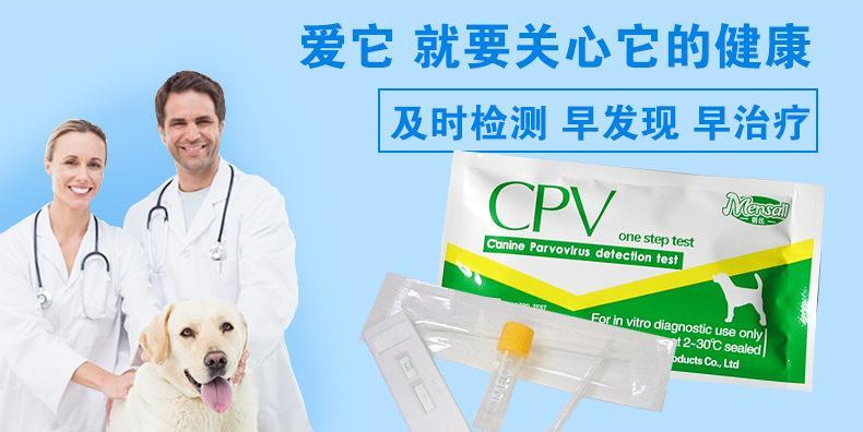 宠物犬瘟热检测必备，试纸取样操作全解析（如何正确使用犬瘟热试纸进行取样）