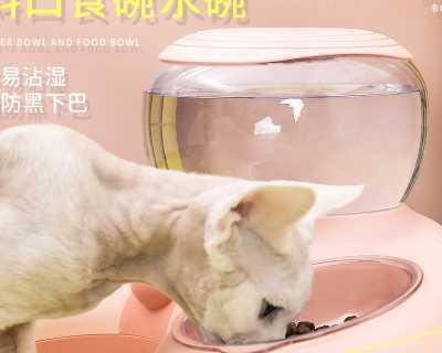 如何给宠物猫咪喂食胶囊（教你正确使用胶囊来喂养你的爱猫）