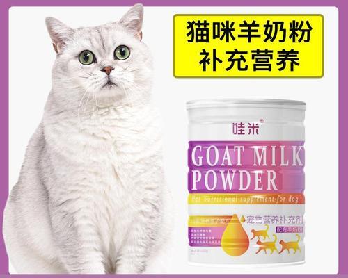 如何让宠物猫咪健康增重（掌握科学喂养技巧）