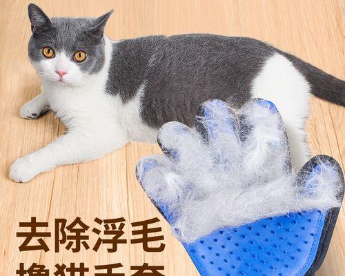 如何预防猫咪吃猫毛（宠物主人必读的猫毛防护指南）