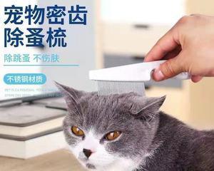 在家除跳蚤，让小猫健康成长（以宠物为主）