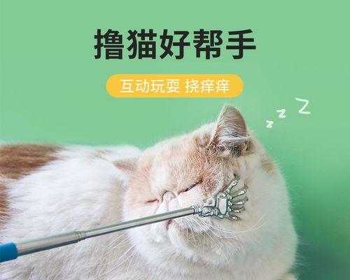 掌握宠物小猫情绪的秘诀（如何根据小猫的表现了解其情绪状态）