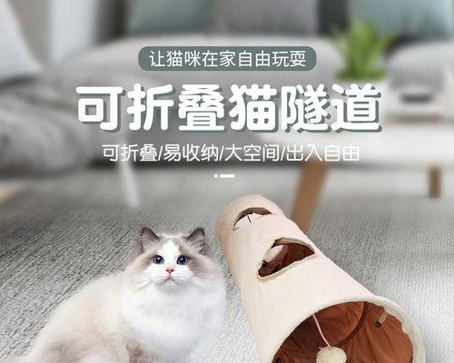 手工DIY（以宠物为主的创意制作）