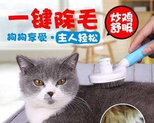 三个月大猫咪浮毛多怎么办（解决猫咪浮毛问题的实用方法）