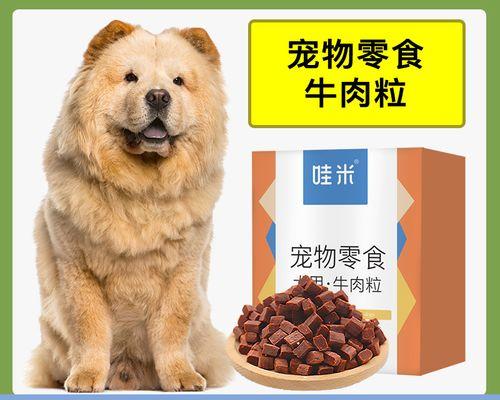 狗狗三个月后能否吃成犬粮（了解你的宠物的饮食需求和健康状况）