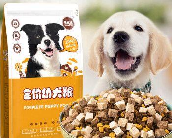 如何为三个月拉布拉多幼犬正确喂食狗粮？