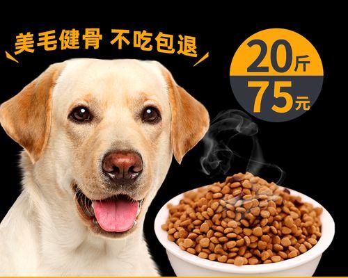 如何为三个月拉布拉多幼犬正确喂食狗粮？