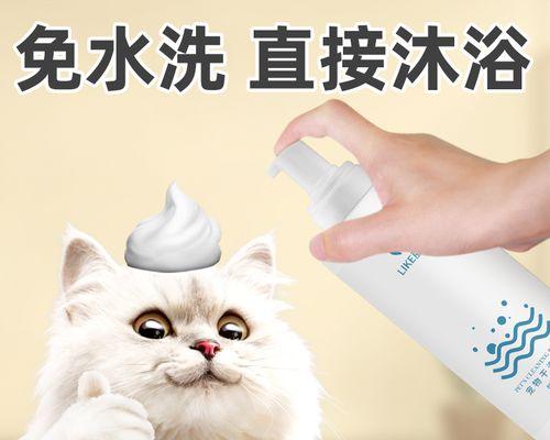 小猫的洗澡指南（十天小猫如何洗澡）