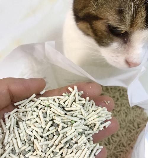 替代猫砂的环保宠物用品（以宠物健康与环保为出发点）