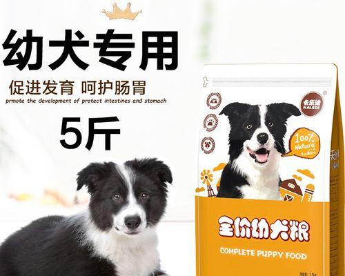 如何选择适合边牧幼犬的狗粮品牌（以宠物为主）