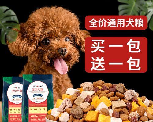 如何选择适合泰迪幼犬的狗粮（掌握几个选购技巧）