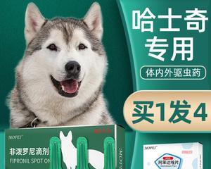 狗伪狂犬的治疗药物（探寻宠物治疗狗伪狂犬的有效药物）