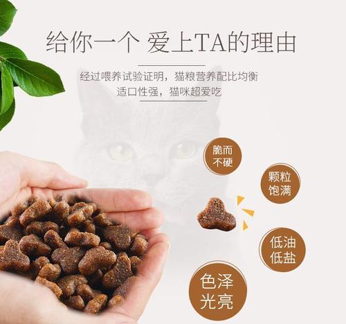 如何选择适合折耳猫的猫粮（宠爱您的猫）