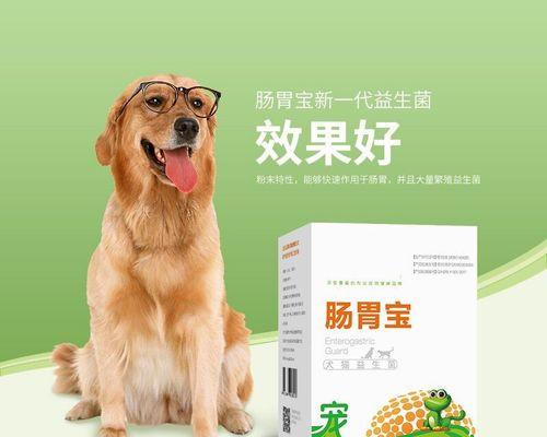 泰迪狗不可以吃什么（宠物的食谱需谨慎）