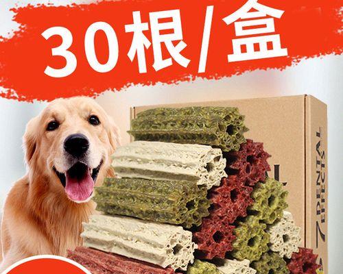 如何给泰迪犬刷牙（以宠物为主）