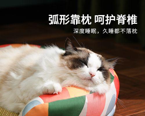 糖尿病人能否养猫（与爱宠共处的注意事项和建议）