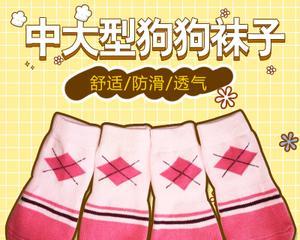 自己动手给宠物狗狗做一件袜子衣服，怎么做（以袜子为材料）