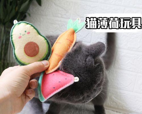 为什么给猫吃猫薄荷（了解猫薄荷的妙用和猫咪的需求）