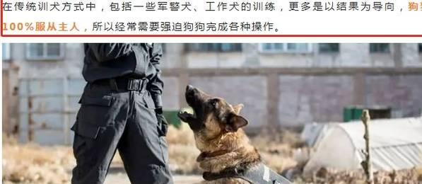 哈士奇为什么不能当警犬（探究哈士奇特点与警犬需求）