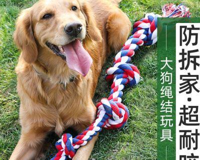 为什么拉布拉多幼犬像金毛（探究拉布拉多幼犬和金毛的相似之处及原因）