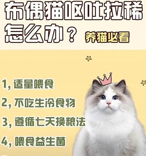 猫拉稀了，怎么办（宠物猫拉稀的原因及治疗方法）