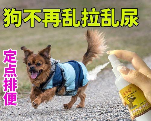 了解新生幼犬的排便状况，从大便开始（幼犬排便的颜色、形状和数量是什么样的）