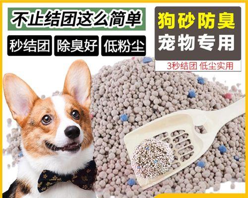 了解新生幼犬的排便状况，从大便开始（幼犬排便的颜色、形状和数量是什么样的）