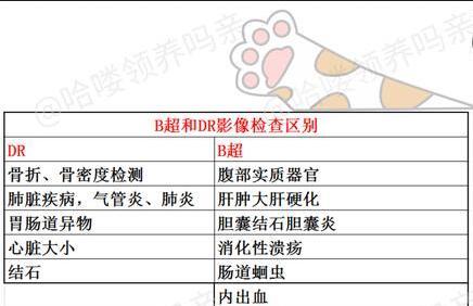 通过血常规，诊断猫咪身体健康（探索血常规的重要性和疾病筛查功能）