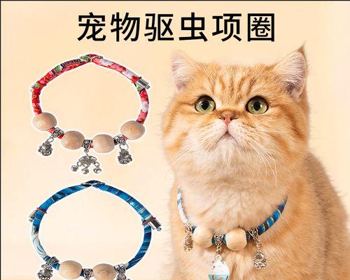 如何驱虫让宠物猫咪更健康（以训练过的猫咪为例）