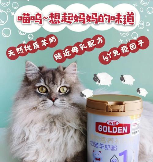 羊奶粉喂养猫咪，你需要知道的事情（宠物健康食品）