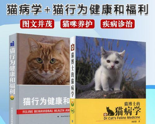 玩转养猫游戏（打造与宠物猫咪互动的游戏世界）