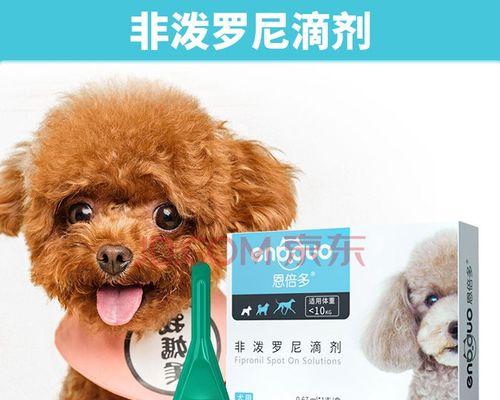 备用药，守护爱犬健康（以养狗狗为主题的备用药）