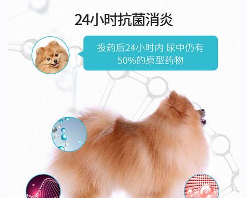 备用药，守护爱犬健康（以养狗狗为主题的备用药）