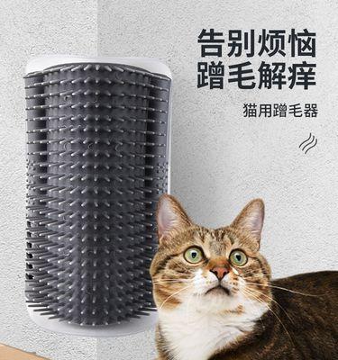 猫咪身上痒（打造干净健康的宠物生活）