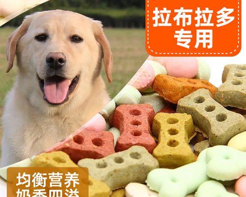 养宠物，泰迪与拉布拉多哪个更适合（比较两种犬种的特点和养护方式）