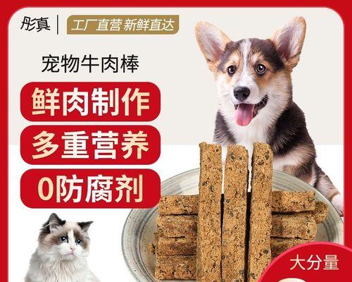 疯狂挠抓！如何防止宠物猫咪出血（15个实用方法帮你解决宠物猫咪的抓挠问题）