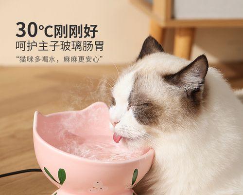 宠物小猫的饮水习惯（探究小猫每月老喝水的原因及防止水源污染的方法）