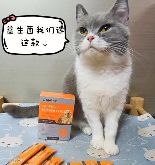 宠物猫每月必备的益生菌（如何给猫咪补充健康的肠道菌群）