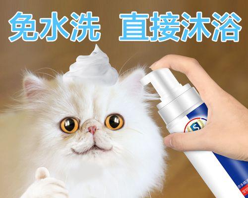 小猫洗澡的正确方法（如何让宠物猫享受洗澡的乐趣）