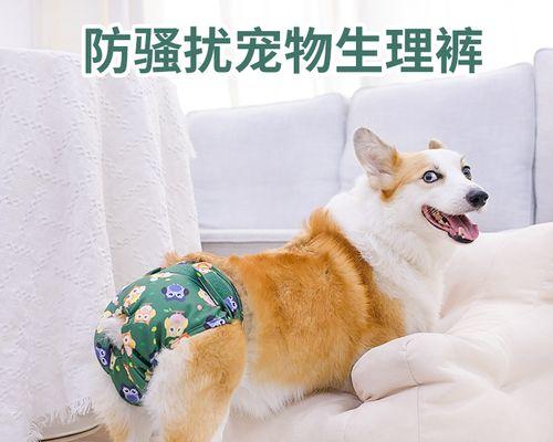 一岁母犬生小狗的全过程（宠物之家）