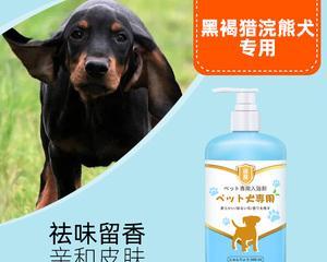 黑褐猎浣熊犬的饲养指南（以宠物为主的完整指南）