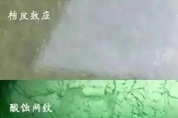 以网纹角吊为宠物的饲养方法详解（适合初学者的入门指南）