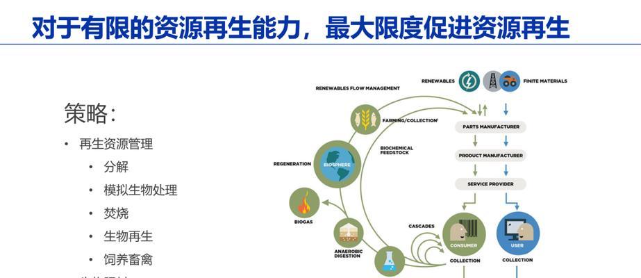 汉诺威猎犬的饲养方法（以宠物为主的详细指南）