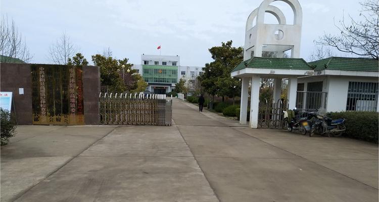 如何科学饲养伊湖田鼠（以宠物为主）