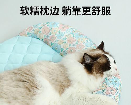 矫正猫咪的必要性（如何让你的宠物变得更健康）